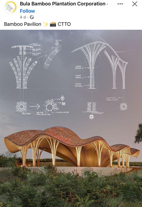 Tree Architecture Design, Tree Like Architecture, Naturalism Architecture, Tree Like Structure, Tree Column Design, Organic Roof Architecture, Bamboo Column Design, Roof Opening Design, Bamboo Pavilion Design