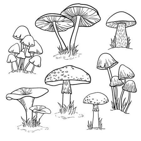 Mushroom Tattoos, Mushroom Drawing, Mouse House, Arte Inspo, Mushroom Art, Flash Art, Art Drawings Sketches, 그림 그리기, Wood Burning