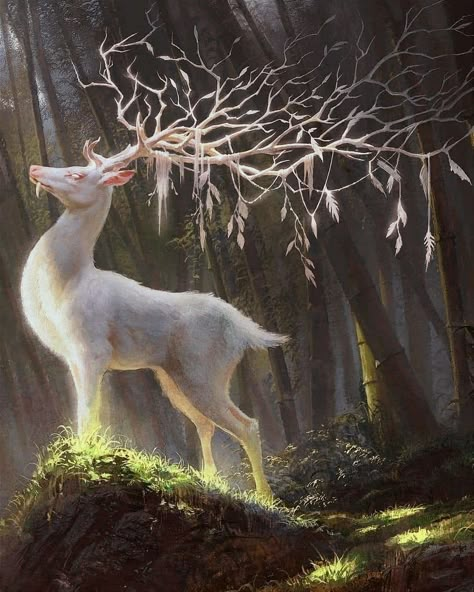 Medusa Pictures, Medusa Art, Mystical Animals, White Deer, Fantasy Beasts, Forest Creatures, Fantasy Animals, Fantasy Creatures Art, Mythical Creatures Art