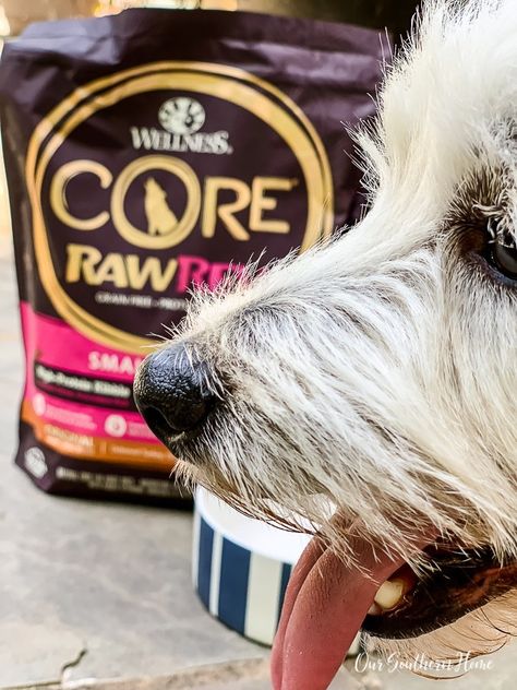 Great tips for small breed dogs! Wellness CORE Small Breed Pet Food is a great choice for pet nutrition. #sponsored #wetie #pets #dogfood #petfood #pettips #dogtips #smalldogs #WellnessCORESmallBreed Wellness Core Dog Food, Small Breed Dogs, Pet Nutrition, Natural Pet Food, Dry Winter Skin, Animal Protein, Animal Nutrition, Breed Dogs, Dog Tips