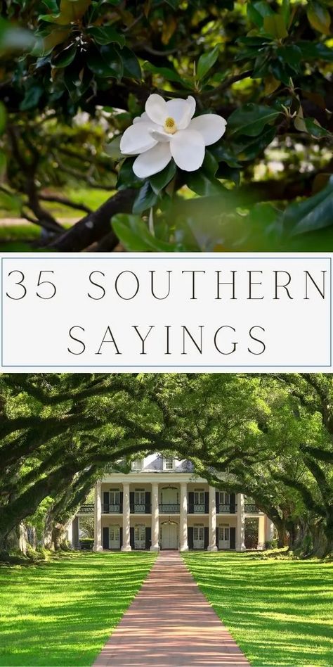 Explore 35 of the best Southern sayings, from timeless phrases to drawlin' proverbs. Savor sweet tea wisdom and Dixie expressions capturing Southern charm. Dive into the rich tapestry of Southern dialect gems, embracing the warmth of folk sayings. Let these quotes add hospitality and grace to your day. Immerse yourself in the soulful world of Southern slang and charm words. Whether a true Southerner or captivated by Dixie language, these expressions bring a smile. Southern Phrases. Southern Words And Phrases, Southern Hospitality Quotes, Southern Love Quotes, Old Southern Sayings, Southern Sayings Quotes, Country Slang Southern Sayings, Southern Sayings Deep South, Southern Slang Sayings, Southern Charm Aesthetic