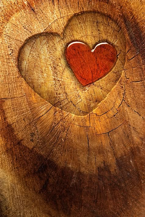 The Price Of Love Is Vulnerability: C S Lewis | Ratiocinativa Hearts In Nature, Heart In Nature, Iphone 5 Wallpaper, 3 Hearts, I Love Heart, Heart Images, All Heart, Heart To Heart, Wood Hearts