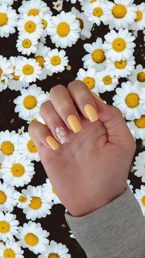 Yellow amarelo Flores floral primavera unhas de primavera Daisy Yellow Nails, Daisy Nails Yellow, Yellow Nails With Daisy, Yellow Daisy Nails, Pastal Nails, Future Nails, Bday Nails, Dandelion Yellow, Sunflower Nails