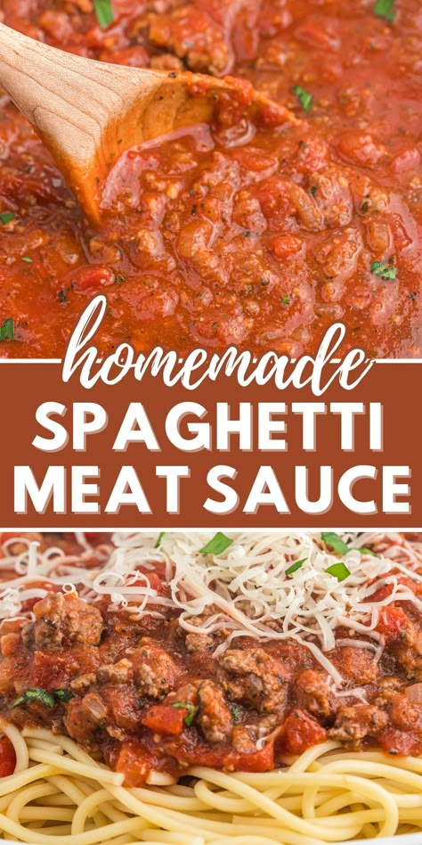 Homemade Spaghetti Meat Sauce, Homemade Spaghetti Sauce Easy, Spaghetti With Meat Sauce, Spaghetti With Meat, Homemade Spaghetti Sauce Recipe, Cheese Sauces, Canned Spaghetti Sauce, Spaghetti Recipes Easy, Spaghetti Meat Sauce