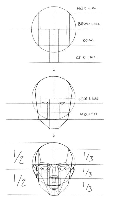 how to draw a face step by step for beginners. Learn how to draw a face realistic face shape easy. How to draw a face from the side view | #face #facedrawing #howtodrawface Realistic Face Shape, Side View Face, Face From The Side, How To Draw Face, Realistic Face Drawing, Face Step By Step, Male Face Drawing, Portrait Drawing Tips, Artist Hue