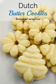 Cookie Press Recipes, بيتي فور, Butter Cookie Recipe Easy, Spritz Cookie, Dutch Cookies, Cookies Monster, Spritz Cookie Recipe, Butter Cookies Easy, Dutch Food