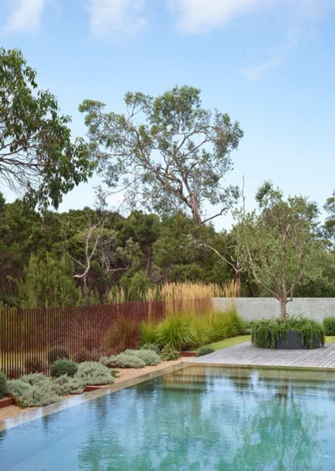 Honeysuckle House, Country Pool, Garden Pool Design, Melbourne Garden, Coastal Landscaping, Australian Native Garden, Pool Landscape Design, Natural Swimming Pools, Natural Pond