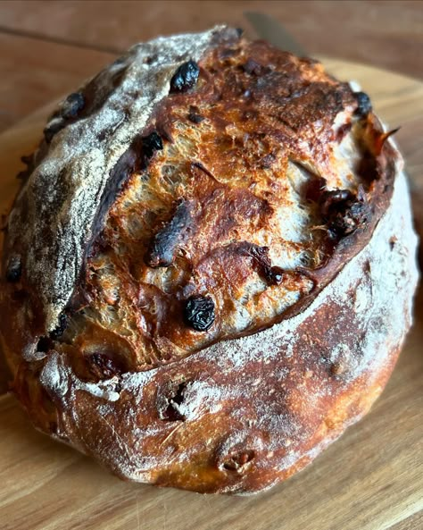 Cranberry Walnut Artisan Bread - Harvest & Nourish Cranberry Walnut Artisan Bread, Bday Desserts, Dinner Rolls Quick, Bread Dutch Oven, Dough Starter Recipe, Blueberry Quick Bread, Walnut Bread Recipe, Cranberry Walnut Bread, Cranberry Bread Recipes