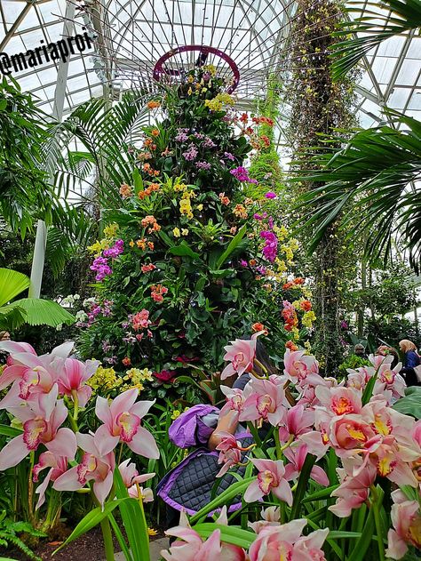 National Orchid Garden Singapore, Singapore Orchid Garden, Singapore Orchid, Beautiful Gardens Landscape, Orchid House, Singapore Botanic Gardens, Orchid Show, Luxury Travel Destinations, Tropical Escape