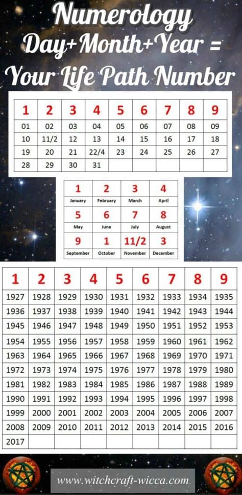 Learn Numerology, Life Path 6, Life Path Numbers, Chinese Numerology, Numerology Horoscope, Numerology Compatibility, Numerology Calculation, Expression Number, Numerology Life Path