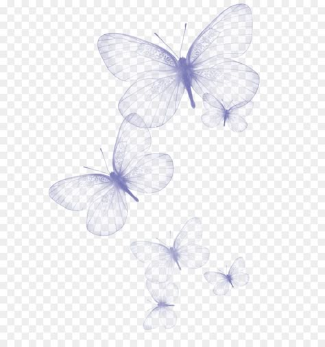 Transparent Butterfly Png, Greta Oto, Transparent Butterfly, Indie Photography, Butterfly Png, About Butterfly, Blurred Background Photography, Butterfly Background, Clip Art Pictures