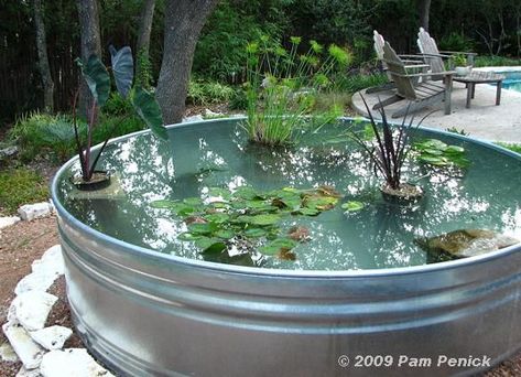 Spectacular DIY Water Feature Ideas That Will Transform Your Garden Diy Container Pond, Koi Pond Ideas, Container Pond, Koi Pond Design, Container Water Gardens, Diy Water Feature, Goldfish Pond, Relaxing Backyard, Diy Pond