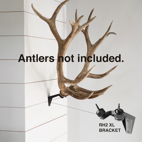 Blemished RACK HUB® RH2 XL Match Set Antler Mount / Moose Antlers / Elk Antlers / Stag Antlers / Caribou Antlers / Antler Taxidermy / Decor - Etsy Australia Elk Decor Ideas, Elk Antlers Decor, Antlers Over Fireplace, Mounted Antlers Decor, Antler Mounting Ideas, Moose Antler Mount, Elk Mount Ideas, Deer Antler Display Ideas, Elk Antler Decor Ideas