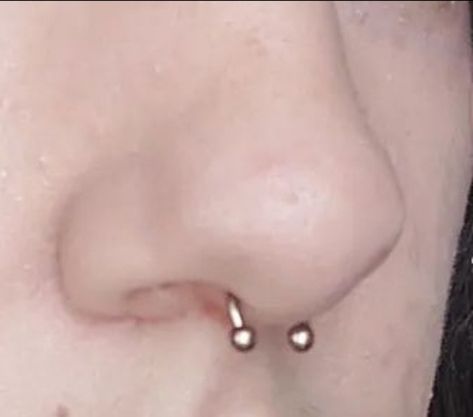 Septum On Different Noses, Nose Piercing Jewelry Septum, Mini Septum Piercing, Nose Piercing Septum Aesthetic, Septum And Eyebrow Piercing, Aesthetic Septum Piercing, Simple Septum Piercing, Septum Aesthetic, Septum Piercing Aesthetic