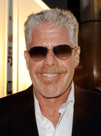 Ron Perlman Hairstyle – Cool Men's Hair Ron Perlman, Silver Foxes, Many Men, Hair Strand, Silver Fox, Music Hall, Hair Photo, Natural Curls, Santa Christmas