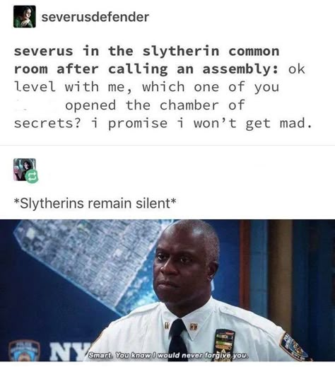 Glume Harry Potter, Severus Rogue, The Chamber Of Secrets, Harry Potter Memes Hilarious, Yer A Wizard Harry, Architecture Quotes, Harry Potter Headcannons, Common Room, Chamber Of Secrets