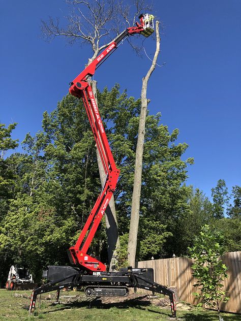 Crane Service Cranes come in very handy for removing trees off houses or removal of a tree from a tight spot. Todd Pate Tree Service, LLC has access to a crane for those jobs that need one. It is very important that crew members work together regularly for moments like taking huge trees off houses. Tree Removal Cost, Car Wash Solutions, Stump Grinding, Tree Removal Service, Contaminated Water, Live Tree, Tree Removal, Tree Service, Tree Trimming