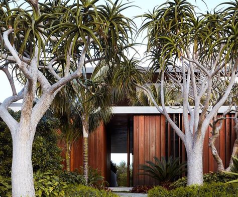 A robust coastal garden by William Dangar Australian Garden Design, Australian Native Garden, Small Courtyard Gardens, Cottage Garden Design, Australian Garden, Coastal Gardens, Victorian Terrace, Family Garden, Sustainable Garden