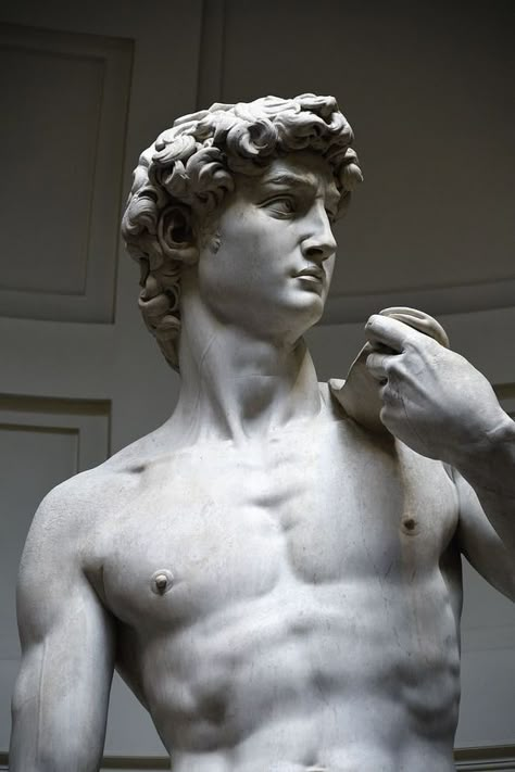 David Miguel Angel, The David Statue, Greek God Sculptures, Michelangelo Sculpture, David Michelangelo, Famous Sculptures, Ancient Greek Sculpture, Roman Statue, Classic Sculpture