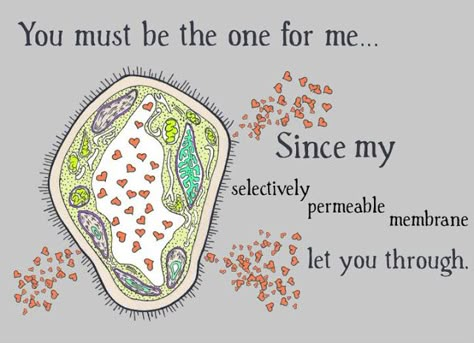 A Peculiar Box of Ridiculous Inventions: Amoeba Love Biology Pick Up Lines, Nerdy Pick Up Lines, Biology Jokes, Biology Humor, Biology Major, Nerdy Jokes, Nerdy Humor, Science Puns, Funny Pick