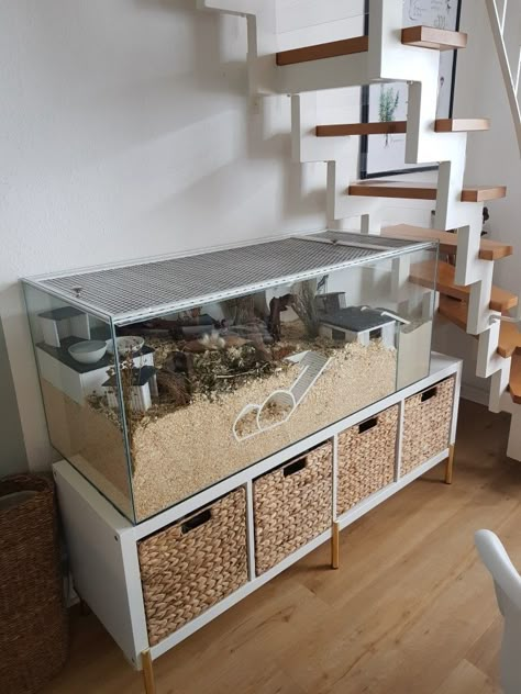 Big Hamster Enclosure, Rodent Cage Ideas, Hedgehog Pet Cage Ideas, Diy Hamster Cage Homemade, Hamster Cage Inspiration, Cute Hamster Cage Ideas, 40 Gallon Hamster Tank, Hamster Cages Ideas, Hamster Aesthetic Cage