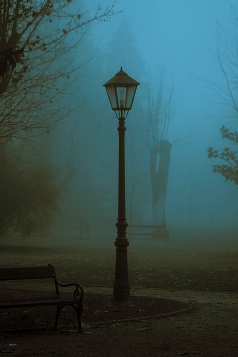 Lamp In Fog, Streetlight Aesthetic, All Too Well Wallpaper, Into The West, Street Lights, All Too Well, Old Street, Street Lamp, The Mist