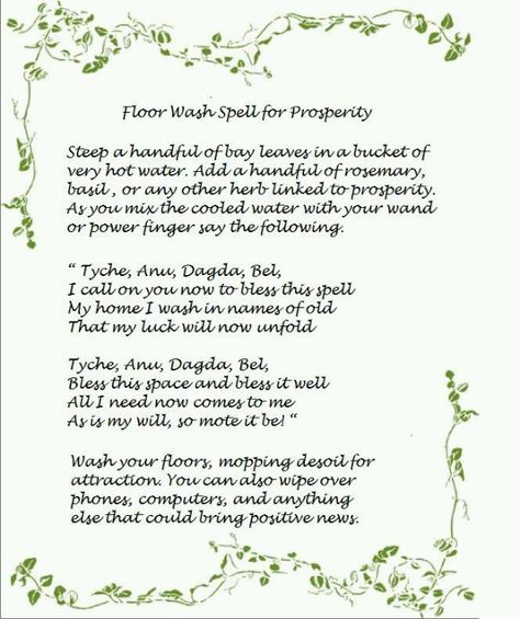 Floor wash spell for Prosperity Kitchen Witch Recipes, Prosperity Spell, Shadow Illustration, Wiccan Crafts, Animal Spirit Guides, African Spirituality, Magick Spells, Spiritual Living, Wiccan Spell Book