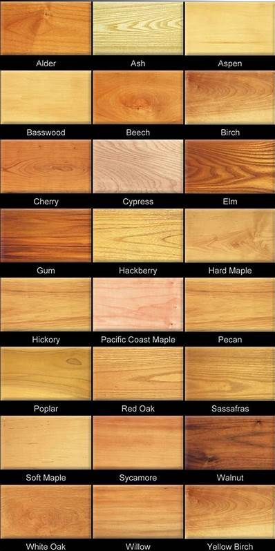 Maple Wood Stain Colors, Different Kinds Of Wood, Church Pew Bench, Pew Bench, Types Of Oranges, Type Of Wood, Church Pew, Wood Stain Colors, Maple Pecan