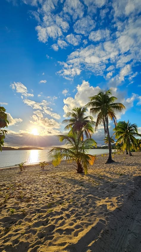 Tropical vibes at the end of the beach day 🌴🌊🥰 . . . #puertorico #beachdays #traveltheworld #caribbean #tropical #palmtrees #sunset High End Makeup, Jamaica, Les Oeuvres, Art Photography, Oeuvre D'art, D Art, Things To Do, 10 Things, Photography