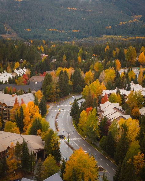 Fall in Whistler, BC 🇨🇦😮‍💨🍁 I know this is a popular winter destination, but I’d say autumn would be my favourite time to visit this town every year 🤭 . . . whistler british columbia, fall in british columbia, fall in canada, fall season photography, visit bc, visit canada, canada travel, beautiful british columbia, travel creator #beautifulbritishcolumbia #canadatravel #whistler #whistlercanada #fallincanada #fallseason🍁 #beautifuldestinations #bccanada Fall Season Photography, Fall In Canada, British Columbia Winter, Canada Fall, Season Photography, Columbia Travel, British Columbia Travel, Whistler Canada, Whistler Bc