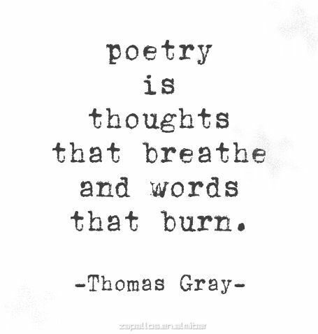 Aesthetic Quote, Writing Motivation, Writer Quotes, Literature Quotes, Writing Poems, Motivational Thoughts, Writing Poetry, Writing Quotes, Writing Words