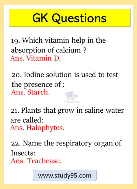 General Science Questions In English, General Knowledge Book In English, Science Questions And Answers, Learn Biology, Chemistry Basics, Facts For Students, Interesting Science Facts, Biology Facts, Gk Questions And Answers