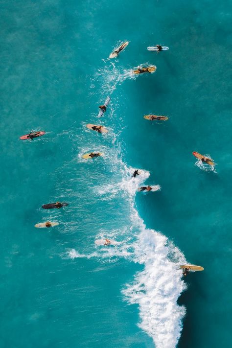 Surfing Wallpaper, Surfing Aesthetic, Surf Painting, Surf Aesthetic, Surfing Photos, Surfing Pictures, Hawaii Surf, Beach Posters, Surfing Photography