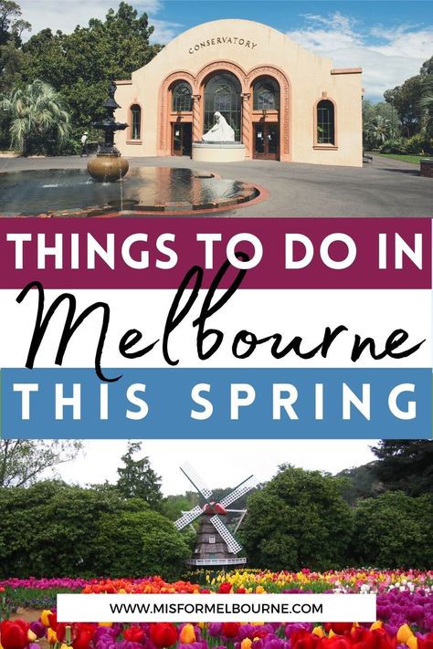 Springtime in Melbourne is a great time to visit. Enjoy the glorious Melbourne in spring weather with this guide to what to do in Melbourne. Melbourne | Australia | Melbourne Australia | Visit Melbourne | Melbourne Travel | Melbourne Advice | Things To Do in Melbourne | What To Do in Melbourne | Melbourne Travel Guide | Melbourne Tourist Attractions | Melbourne in Spring| Seasons in Melbourne | Melbourne Spring Attractions | Melbourne Spring Activities | Melbourne Weather Melbourne Tourist Attractions, Melbourne Activities, Travel Melbourne, Melbourne Attractions, Melbourne Weather, Things To Do In Melbourne, Australia Capital, Melbourne Travel, Visit Melbourne