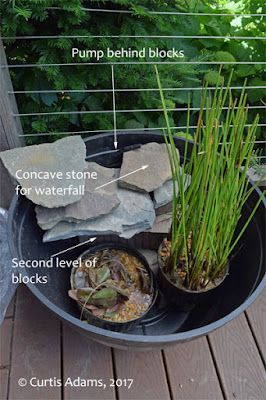 Patio Garden Inspiration, Diy Pond In A Pot, Patio Pond Diy, Container Water Features, Container Water Gardens Mini Pond, Water Container Garden, Container Pond With Fish, Container Pond Ideas, Micro Pond