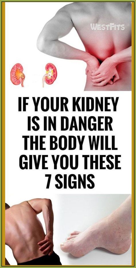 For your health, the kidneys are essential because they detoxify and cleanse the body by filtering 10-150 quarts of blood in a day. Their location is under the rib cage. Their function is to eliminhttps://www.smore.com/app/reporting/button/pust9?u=https%3A%2F%2Ftumblr.com%2FZg4PhRcG0Cbhiy00%3Fr%3DuuSXmUeaRj&t=KEEP%20READING&w=w-7688035534&i=&l=?r=040016154?r=953781884 Creating A Newsletter, What Happened To You, What’s Going On, Health Problems, Womens Health, The Words, The Body, Home Remedies, Yoga Poses