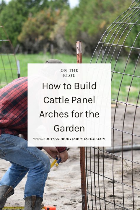 Transform your garden into a stunning oasis and learn how to build a garden arch trellis — simply. This easy diy cattle panel archway is a simple project that will elevate your vegetable garden that doesn’t take much time! You’ll have a simple diy arch trellis in under 20 minutes! Building an arched trellis with cattle panels and T-posts is a sturdy and practical way to support climbing plants like vines, cucumbers, or tomatoes while adding an attractive architectural element to your garden. Diy Plant Arch, Diy Archway Garden, What To Grow On Arch Trellis, Garden Arch Trellis Arbor Ideas, Cattle Panel Arch Trellis, How To Build A Trellis, Arch Trellis Diy, Diy Trellis Archway, Cattle Panel Trellis Arches