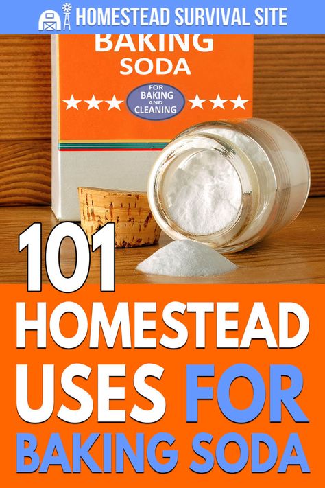 Baking soda is one of the most versatile and economic supplies you can have on hand. Here are 101 homestead uses for baking soda. Benefits Of Baking Soda, Uses For Baking Soda, Baking Soda Benefits, Reflux Diet, Moonshine Recipes, Mole Removal, Homesteading Skills, Baking Soda Uses, Homemade Cleaning