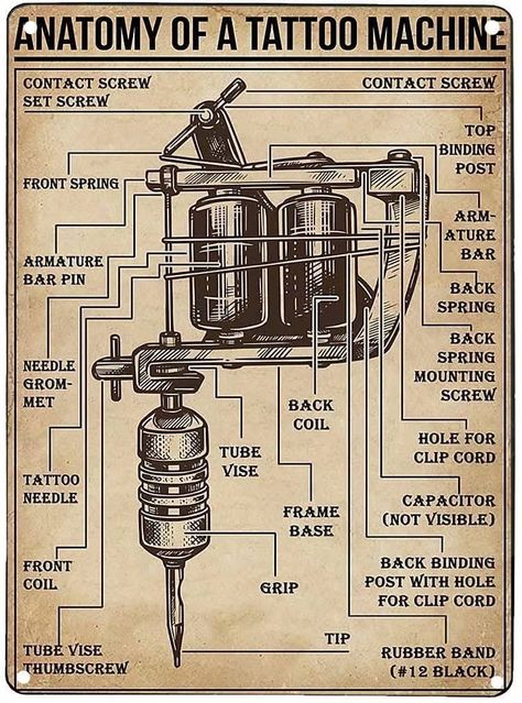 Poster Anatomy, Tattoo Shop Decor, Tattoo Studio Interior, Tattoo Machine Parts, Learn To Tattoo, Tattoo Posters, Omerta Tattoo, Tattoo Signs, Bar Wall Decor