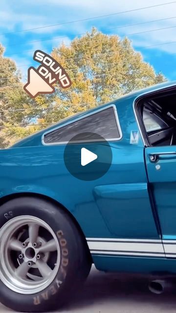 Kelsey on Instagram: "Does anyone know who owns this fastback? I love the wheels, exhaust, stance, sound, and color…perfect! I’d like to follow the actual owner so let me know. Thanks #mustangfastback #fastbackmustang #65mustang #1965mustang #66mustang #1966mustang #65mustangfastback #1965mustangfastback #66mustangfastback #1966mustangfastback #65fordmustang #1965fordmustang #66fordmustang #1966fordmustang  #gt350 #gt350h #gt350only #gt350mustang #gt350shelby #shelbygt350 #shelby" 65 Mustang Fastback, 2005 Mustang Gt, 1966 Mustang Fastback, 1966 Mustang Gt, Mustang 65, 66 Ford Mustang, 66 Mustang, 65 Mustang, 1965 Mustang