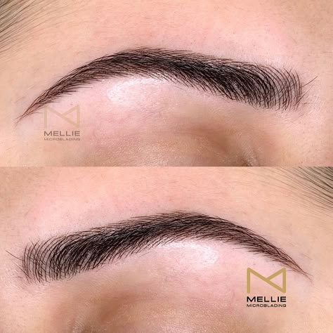 High Arch Eyebrows, Ombre Powder Eyebrows, Eyebrow Shaping Threading, Makeup Eyelash Extensions, Powder Eyebrows, Mircoblading Eyebrows, Ombre Eyebrows, Straight Eyebrows, Evening Eye Makeup