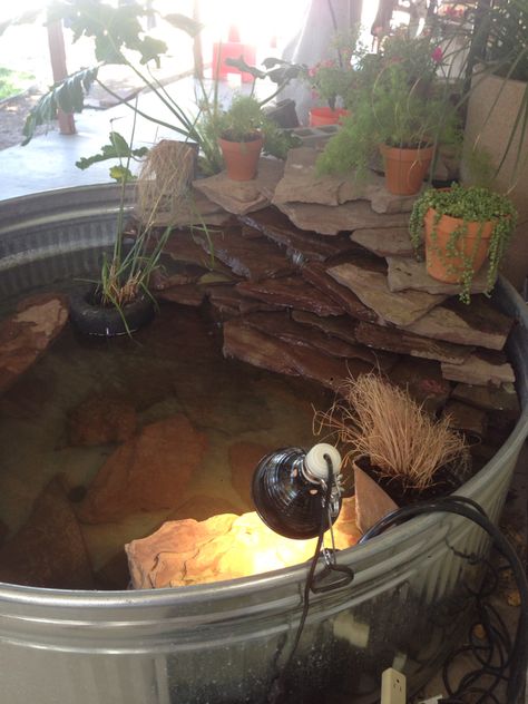 My stock tank with A waterfall for my red ear sliders Turtle Setup, Aquatic Turtle Habitat, Turtle Tank Setup, Turtle Enclosure, Turtle Terrarium, Big Tortoise, Red Eared Slider Turtle, Turtle Aquarium, Turtle Care