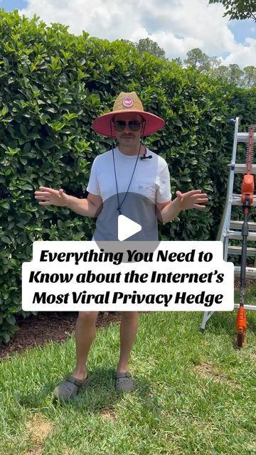 Kyle Williams on Instagram: "🌿✨ The MOST Viral Privacy Hedge on the Internet✨🌿  Yall loved my last video about my privacy hedge here’s everything you need to know about this internet sensation! 🍃The variety I am growing is the Sweet Viburnum, and it’s perfect for creating a lush, green barrier in your yard. 🏡💚 If you’re in Northeast Florida (Zone 9), here’s how you can grow this beauty for some serious privacy:  1. Choose the Right Spot: Sweet Viburnum loves full sun to partial shade. Pick a spot that gets at least 4-6 hours of sunlight daily. 🌞   2. Soil Prep: Ensure the soil is well-draining. Mix in some compost or organic matter to enrich the soil. Viburnum isn’t too fussy, but it thrives in slightly acidic to neutral pH levels. 🌱  3. Planting Time: The best time to plant is in t Privacy Hedge Ideas Front Yard, Willow Hybrid Tree Privacy Hedge, Planting In Front Of Hedge, Front Yard Hedge Ideas, Sweet Viburnum Hedge Privacy Screens, Beech Hedge Garden Design, Viburnum Tinus Hedge, Sweet Viburnum Hedge, Low Hedges Landscaping