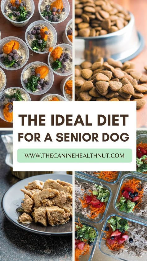 Senior Dog Food, Dog Food Ideas, Dog Food Homemade, Senior Dog Food Recipes, Make Dog Food, Diy Dog Food, Dog Biscuits Homemade, Dog Biscuit Recipes, Healthy Dog Food