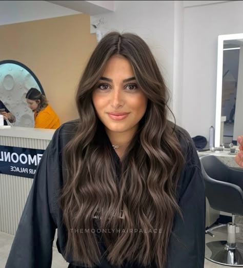 Low Lights In Brunettes, Dark Brown Hair With A Money Piece, Brown Ash Balayage Hair, Hair For Tan Skin Tone Brown Eyes, Dark Mushroom Brown Balayage, Brunette Toned Balayage, Brunette Hair Without Highlights, Balayage For Dark Brown Hair Cool Tone, Dark Hair Toner Before And After