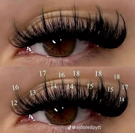 Lash Looks, Natural Fake Eyelashes, Lash Maps, Lash Map, Lash Ideas, Best Lash Extensions, Lashes Fake Eyelashes, Lashes Tutorial, Lash Mapping