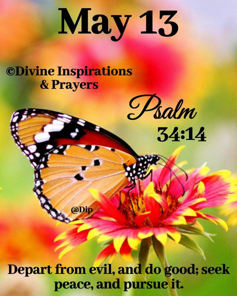 May Quotes, Quote Bubble, Monthly Quotes, Good Morning Happy Sunday, Seek Peace, Weekday Quotes, Scripture Of The Day, Book Of Psalms, Daily Wisdom