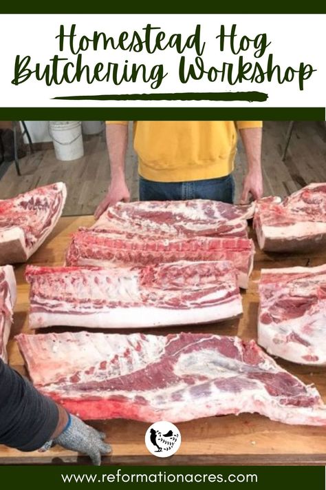 an image of hog meat for Homestead Hog Butchering Workshop Hog Butchering, Butchering Pigs, Pig Raising, Beef Cuts Chart, Meat Preservation, Meat Locker, Hog Farm, Nice To Meat You, Homesteading Animals