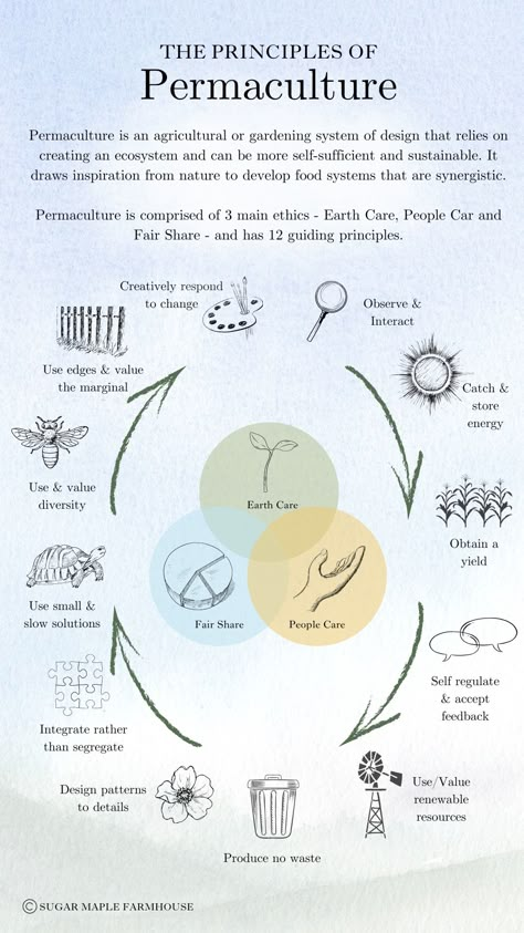 What is Permaculture? The 12 permaculture principles Permaculture Garden Design, Food Forest Garden, Permaculture Principles, Coffee Review, Permaculture Gardening, Permaculture Design, Natural Ecosystem, Yellow Ceramics, Food Forest