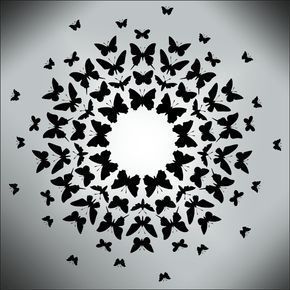 Principles of design(unity): This image is an example of unity because all the butterfly’s are placed around each other in a circular pattern creating unity. Principles Of Design Harmony, Unity In Art, Unity Drawing, Radial Balance, Symmetrical Balance, Radial Symmetry, Harmony Design, Harmony Art, Radial Design